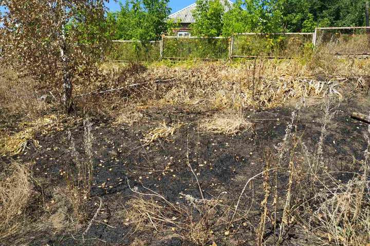 От поджога сухой травы на Харьковщине погибла женщина