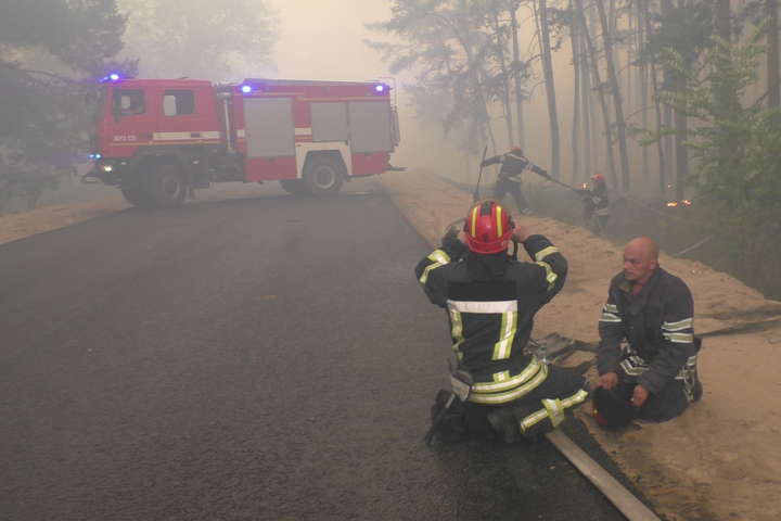 Масштабну пожежу на Луганщині локалізовано (фото, відео)