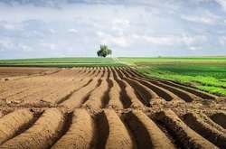 Коснется даже пенсионеров: украинцы будут платить за землю по-новому