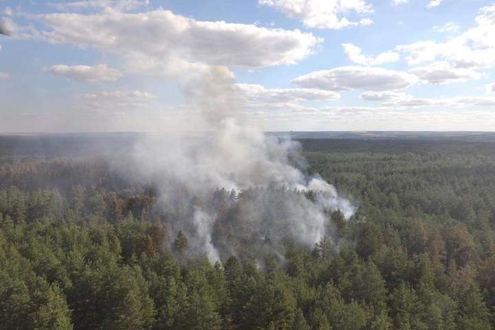 Лесные пожары на Луганщине: полиция задержала подозреваемого в поджоге