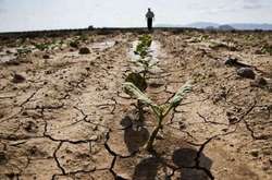 ДСНС визнала рекордну посуху на Одещині надзвичайною ситуацією державного рівня