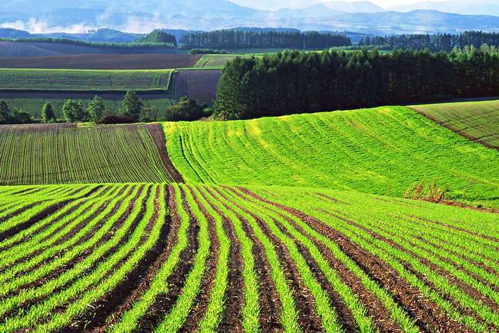Зеленский поддержал законопроект о налогообложении земельных паев
