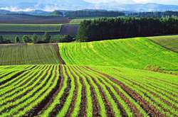 Зеленский поддержал законопроект о налогообложении земельных паев