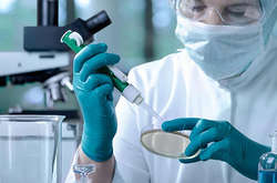 Зареєстровано чотири лікарських засоби, це «Амізон», «Аміксин», «Корвітин» і «Біомен»