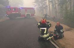 Пожежі на Луганщині: триває гасіння осередків тління у двох лісництвах