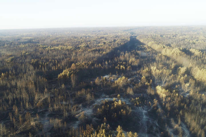 Пожежа на Луганщині: боротьба з вогнем триває восьмий день