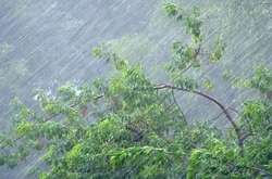 Осадки сегодня не ожидаются лишь в западных областях