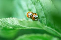 Секс на свежем воздухе. Советы экспертов и реальные истории