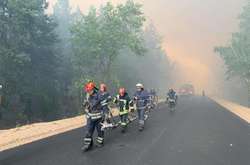 Рятувальники заявили про ліквідацію пожежі на Луганщині 
