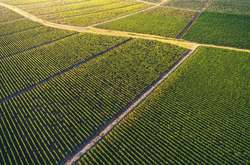 Рада підтримала законопроєкт про розпаювання державних земель