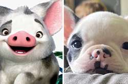 Фото смешных собак, которые нашли своих двойников в кино и мультфильмах