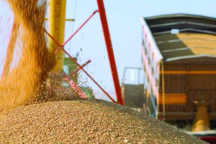 Хто вивозив з України пшеницю у першій половині 2020-року. Топ-15 компаній