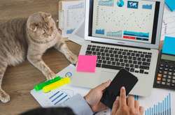 16 июля отмечается День бухгалтера Украины