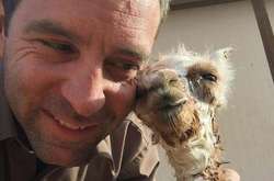 Курьеры публикуют смешные фото с животными, которых встречают по пути