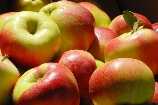В Україні почали падати ціни на яблука. Прогноз фахівців