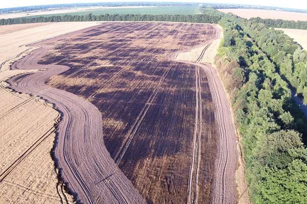 На Чернігівщині вогонь знищив 23 га з посівами зернових