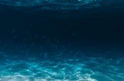 Незримый океан: кто живет на глубине восьми километров под водой