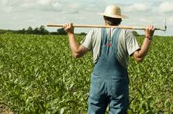 Верховний суд опублікував роз'яснення щодо умов оренди землі власниками фермерських господарств