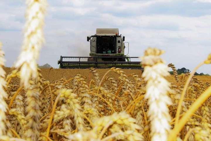 Цифри невтішні. Станом на середину липня зібраний урожай в Україні менший майже на 30% від минулорічного