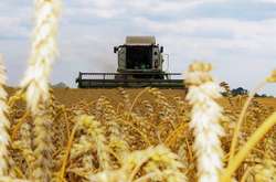 Цифри невтішні. Станом на середину липня зібраний урожай в Україні менший майже на 30% від минулорічного