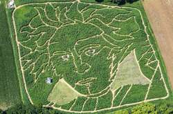 Выращенный из подсолнухов и конопли портрет Бетховена появился на поле в Германии