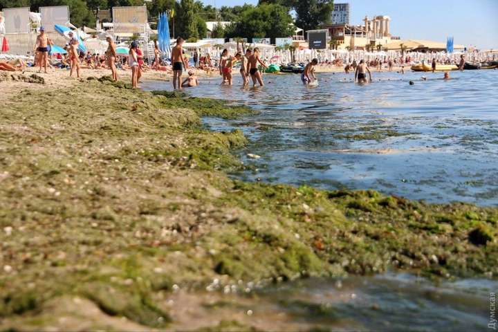 Держспоживслужба «забракувала» найбільші пляжі Одеси: надто брудна вода 