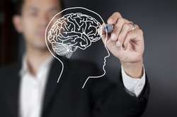 22 липня святкують Всесвітній день мозку