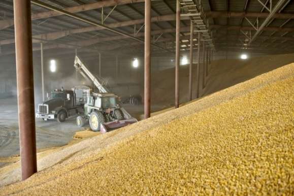 Влада визнала: запаси зерна в українських сховищах зменшилися майже на 40% 