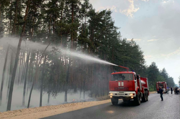 У Луганській області через обстріл бойовиків загорівся ліс