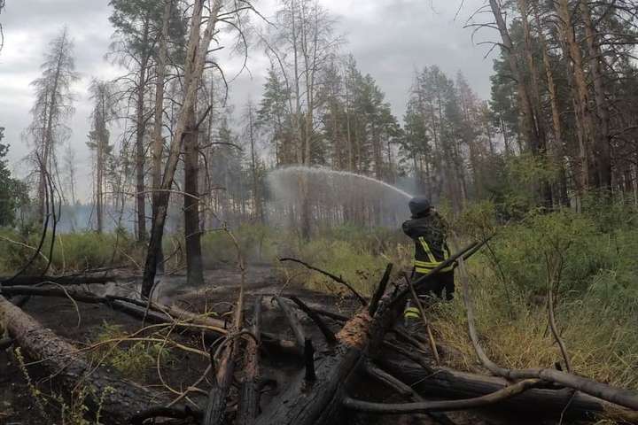 Лісова пожежа на Луганщині: загрози населеним пунктам немає