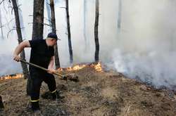 На Луганщині досі тліє суха трава та чагарники