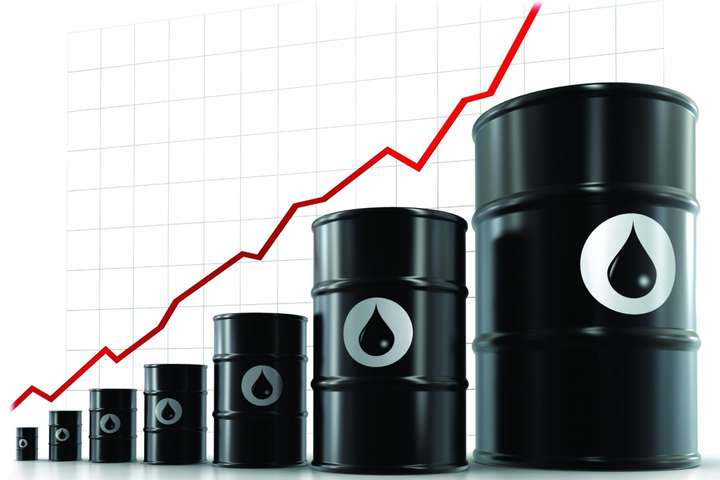 Нефтепродукты импортируются по ценам выше мировых, демпинга нет, – Привалова