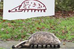 Какими были бы животные, если бы они выглядели так, как их рисуют дети