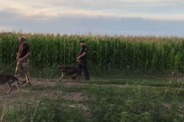 Пошук «полтавського терориста»: поліція «прочісує» ліс із дронами, собаками і гелікоптерами 