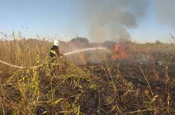 До гасіння залучили 16 осіб і шість одиниць техніки