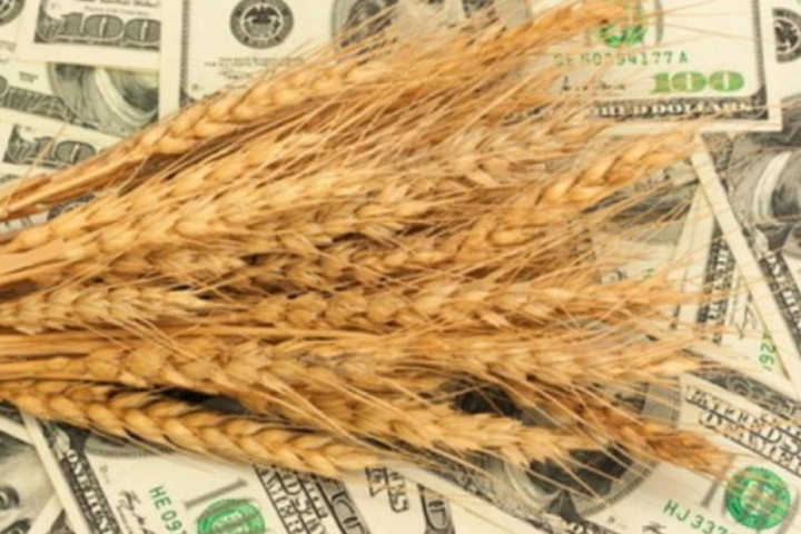Попри значно менший врожай Україна продовжує активно експортувати зерно
