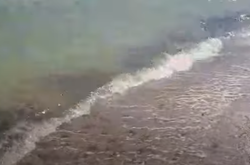 З Азовським морем нова біда: підійти до води практично неможливо (відео)