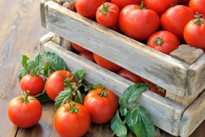 Українські виробники томатів хочуть втричі більше безмитних квот в оновленій Угоді про асоціацію
