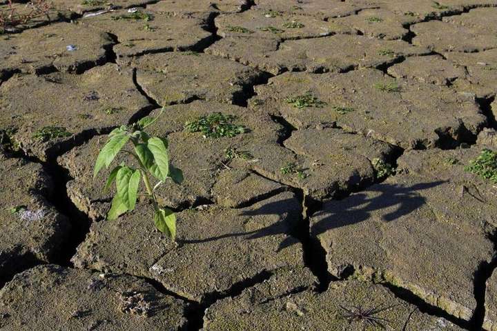 Франція потерпає від посухи: у країні обмежили споживання води 