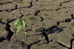  Недостатність опадів у Франції досягла еквівалента одного місяця без дощів 