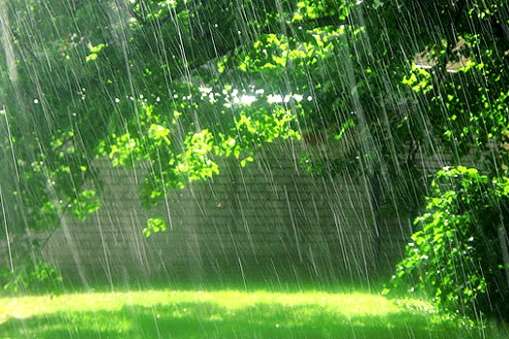 Прогноз погоды на 31 июля: местами – дожди и грозы