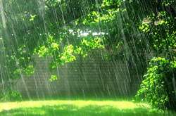 Прогноз погоды на 31 июля: местами – дожди и грозы