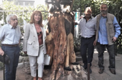 Пушкін і австрійський консул: старий одеський каштан отримав нове життя