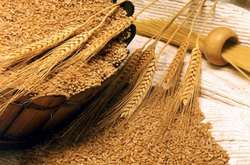 Україна планує увійти до ТОП-5 світових експортерів зерна