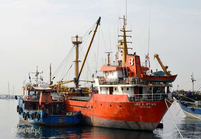 У Туреччині застрягли 20 українських моряків та просять про допомогу