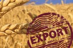 В Україні зафіксовано спад експорту зернових