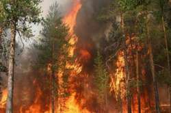 У першому півріччі 2020 року, у середньому за добу підрозділи ДСНС ліквідовували 280 пожеж