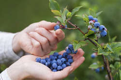 4 августа: какой сегодня праздник, приметы и запреты