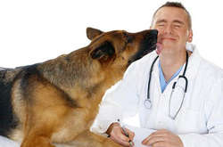 9 августа: какой сегодня праздник, приметы и запреты