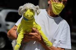  Собаки були протестовані в рамках спеціальної програми 